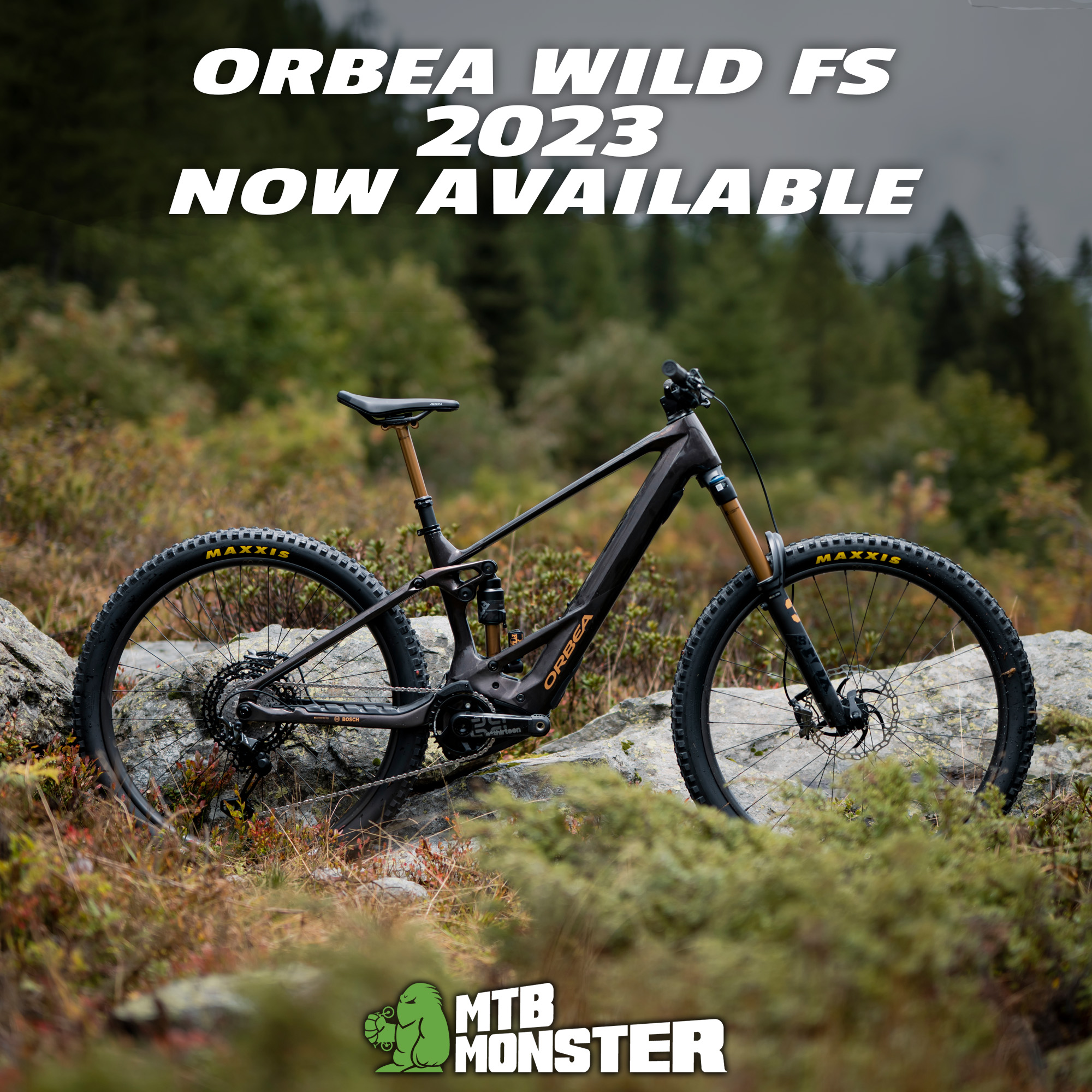 Orbea Wild FS 2023