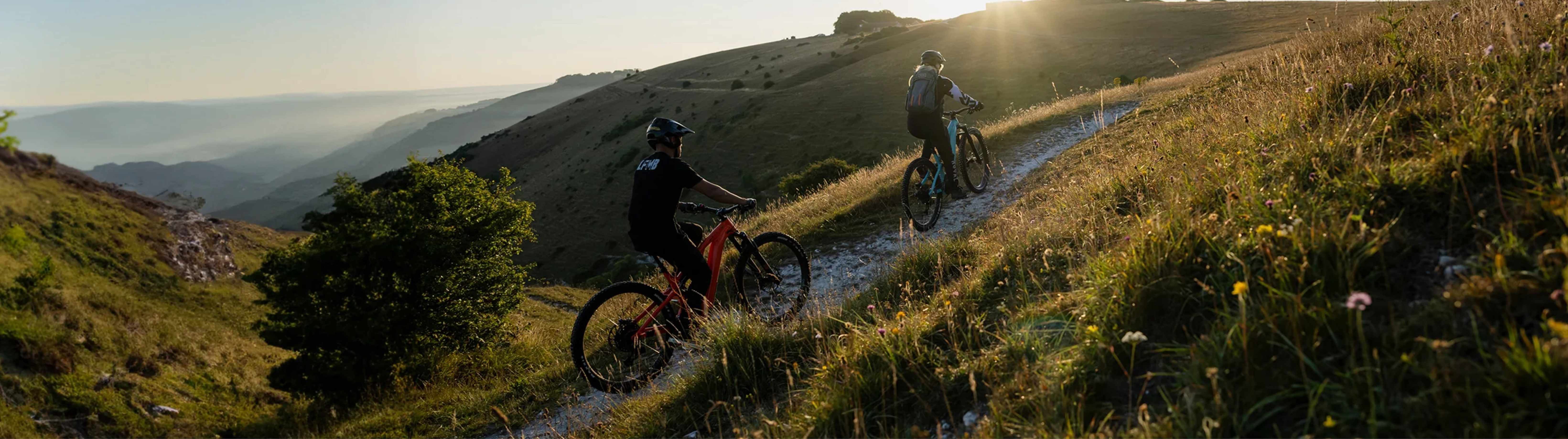 Official dealers of whyte