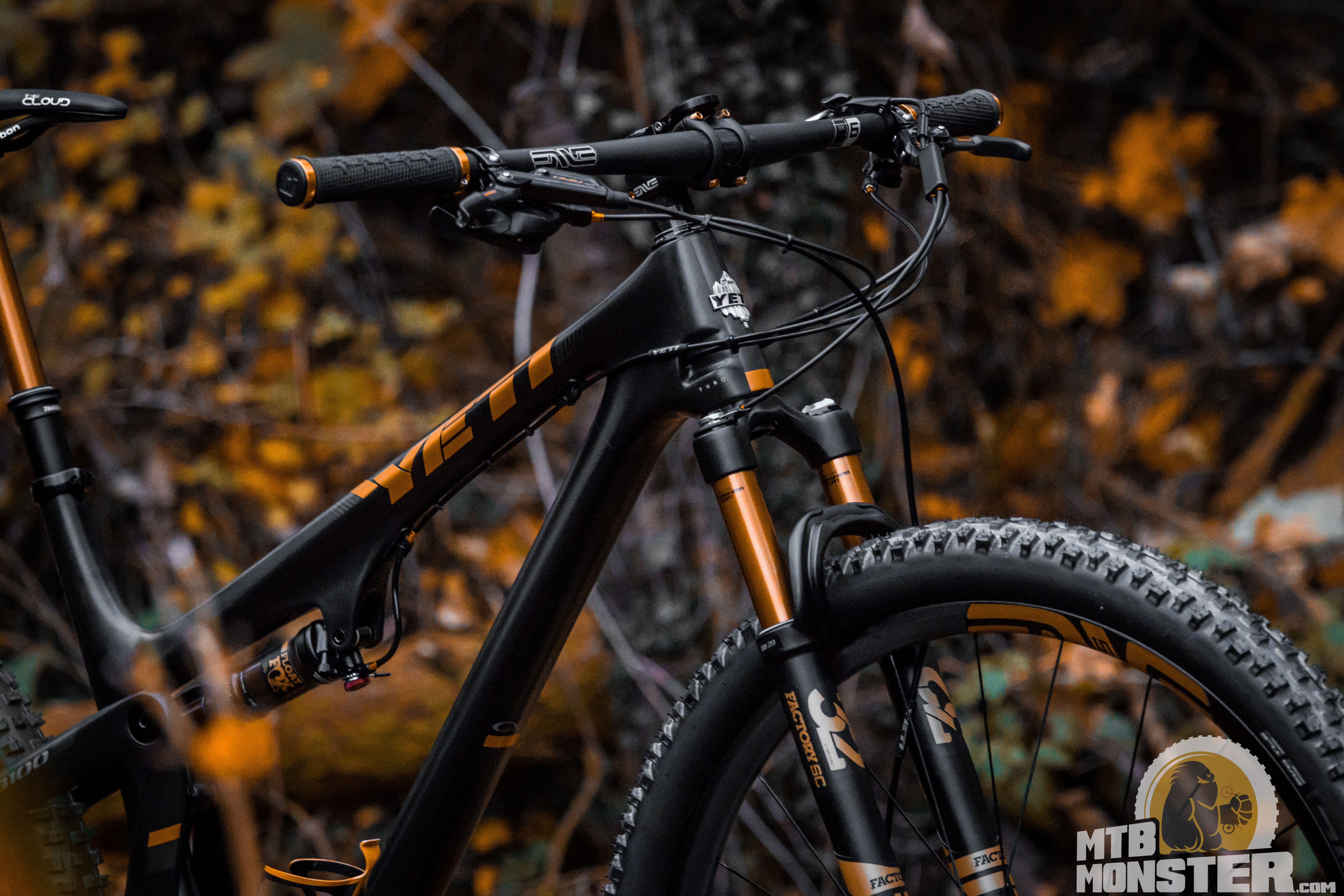 mtb black and gold
